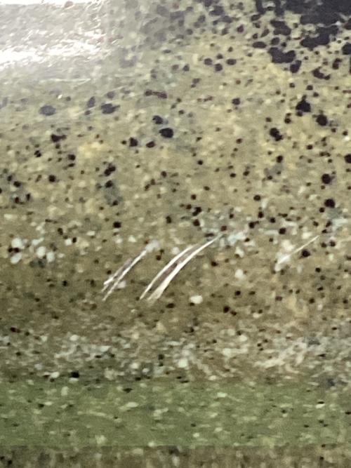 ICELAND COOLER (アイスランドクーラー) クーラーボックス オリーブ 35QT(約33.1L) NEIGHBERHOOD