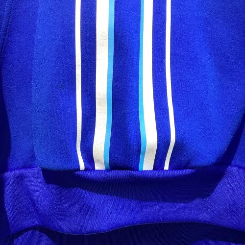 横浜DeNAベイスターズ (ヨコハマディーエヌエーベイスターズ) 応援グッズ SIZE O ブルー プロコレ @ DESCENTE ショートスリーブフーデットパーカ プロ仕様モデル DX-A2401PC