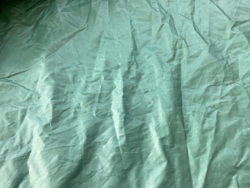 Coleman (コールマン) ツールームテント 2000031571 タフスクリーン2ルームハウス 約540×340×215(h)cm 3～5人用 程度B 程度B スカートあり ハンマーあり/説明書なし