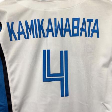 北海道日本ハムファイターズ (ホッカイドウニッポンハムファイターズ