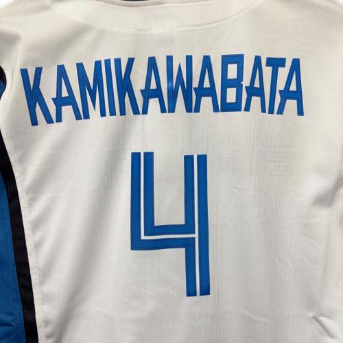 北海道日本ハムファイターズ (ホッカイドウニッポンハムファイターズ