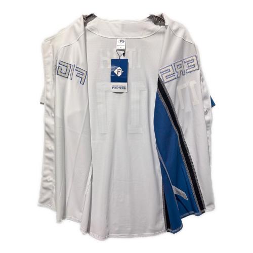 北海道日本ハムファイターズ (ホッカイドウニッポンハム