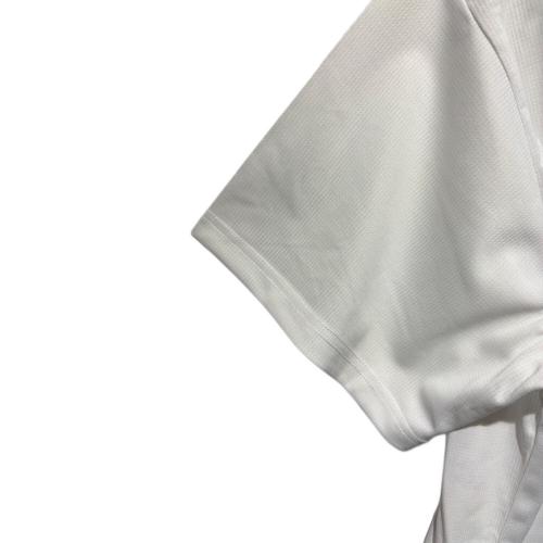 北海道日本ハムファイターズ (ホッカイドウニッポンハムファイターズ) 応援グッズ Lサイズ ホワイト×ブルー ファイターズレプリカユニフォームブランク/ホーム ユニフォーム 水谷瞬【53】