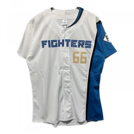 北海道日本ハムファイターズ (ホッカイドウニッポンハムファイターズ