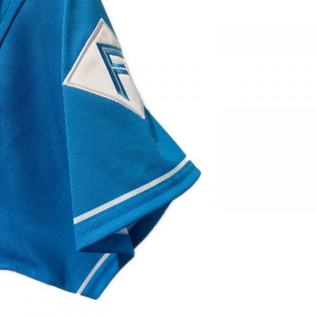 北海道日本ハムファイターズ (ホッカイドウニッポンハムファイターズ