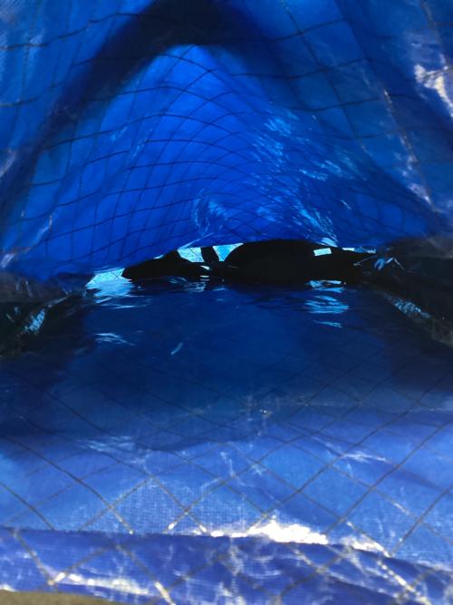 Zpacks (ジーパックス) リュック ブルー ＠ バガー ウルトラ 25L バックパック