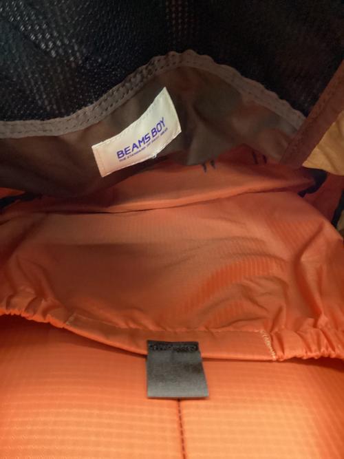 GREGORY (グレゴリー) バックパック ブラウン BEAMS BOY デイパック BEAMSBOY SPT 背面長40cm以下 21-30L(日帰り)