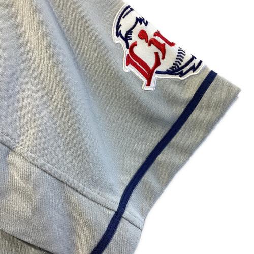 埼玉西武ライオンズ (サイタマセイブライオンズ) ハイクオリティユニフォーム ビジター 応援グッズ 458693 SIZE M グレー