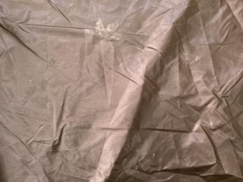 Snow peak (スノーピーク) モノポールテント FES-432 2022年雪峰祭限定 ＠ ヨゴレ有 タープエクステンションテント4 アイボリー