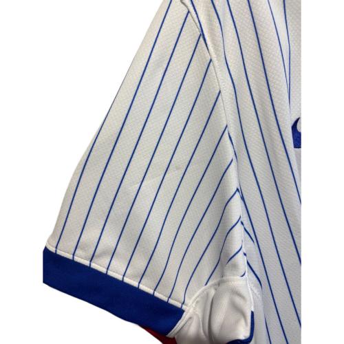 フランス代表 (フランスダイヒョウ) サッカーユニフォーム FJ4273-100 SIZE XL