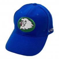 埼玉西武ライオンズ (サイタマセイブライオンズ) 応援グッズ ブルー