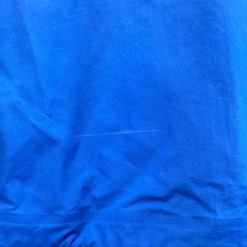 BURTON (バートン) AK GORE CYCLIC JK スノーボードウェア(ジャケット) メンズ SIZE L ブルー