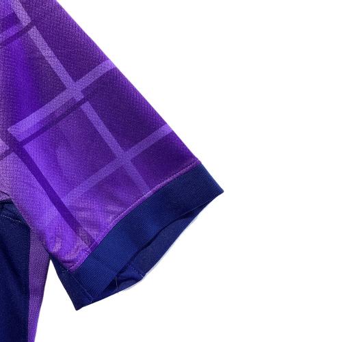 サンフレッチェ広島 (サンフレッチェヒロシマ) サッカーユニフォーム HM6952-545 【14】田中 聡 SIZE L