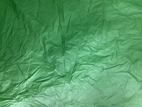 HERITAGE (ヘリテージ) 登山用テント グリーン クロスオーバードーム