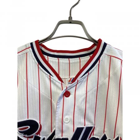 東京ヤクルトスワローズ (トウキョウヤクルトスワローズ) 内山 壮真