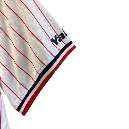 東京ヤクルトスワローズ (トウキョウヤクルトスワローズ) 内山 壮真