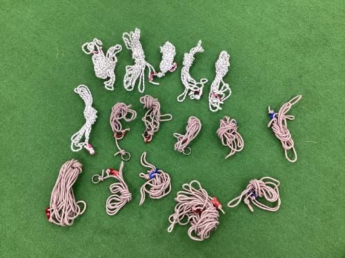 Snow peak (スノーピーク) シェルター TP-660 小ヨゴレ・スカート一部リペア跡有 リビングシェルロング Pro