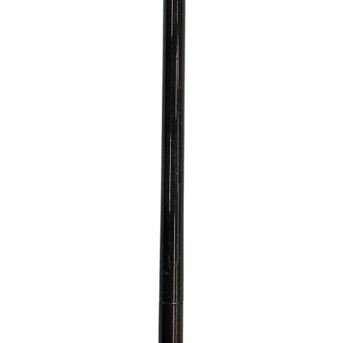 BLACK DIAMOND (ブラックダイヤモンド) トレッキングポール 約120-140cm ブラック DISTANCE CARBON FLZ