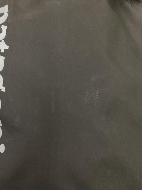 Patagonia (パタゴニア) バックパック 48197 30L ブラック スノードリフターパック