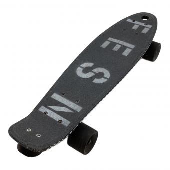 Penny (ペニー)×FESN（エフイーエスエヌ） スケートボード 22インチ ケース付 ブラック