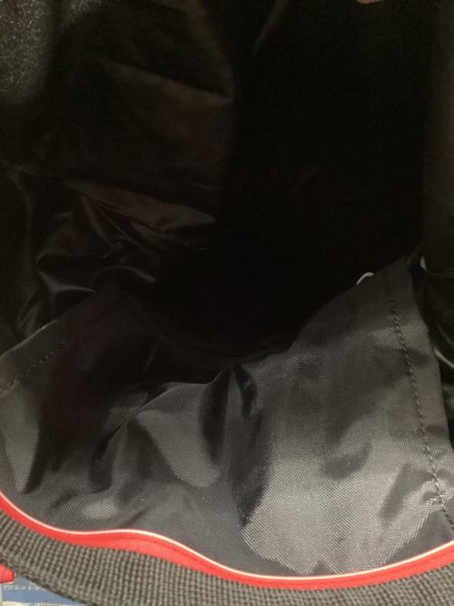 SALOMON (サロモン) バックパック 20L ブラック AGILE(アジャイル) AW20