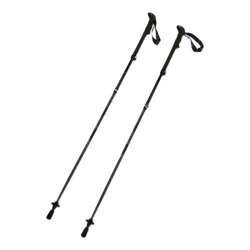 LEKI (レキ) トレッキングポール 110-130cm グレー MAKALU FX TA
