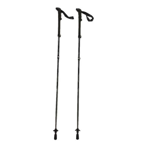 LEKI (レキ) トレッキングポール 110-130cm グレー MAKALU FX TA