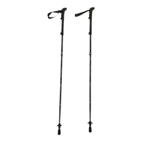 LEKI (レキ) トレッキングポール 110-130cm グレー MAKALU FX TA
