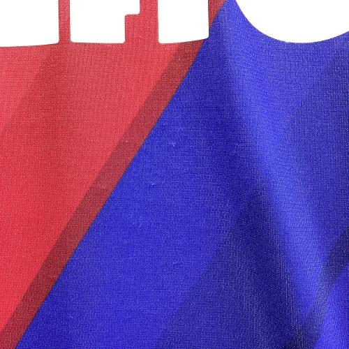 FC東京 (エフシートウキョウ) サッカーユニフォーム UDS6919H 2019シーズンホーム メンズ SIZE O レッド×ブルー