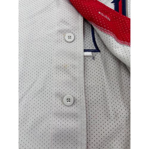 東京ヤクルトスワローズ (トウキョウヤクルトスワローズ) 野球ユニフォーム 2010-2012シーズンホーム メンズ SIZE Free グレー×レッド