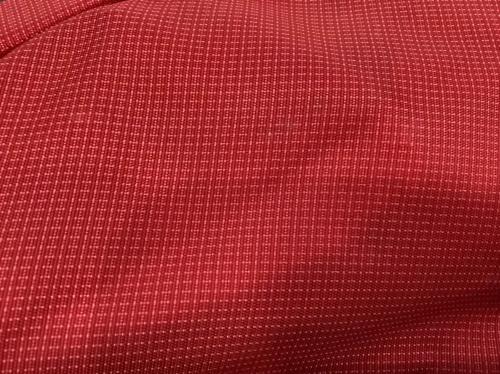 deuter (ドイター) ガイドツアー 45+ レッド×ブラック