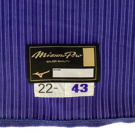 中日ドラゴンズ (チュウニチドラゴンズ) 応援グッズ 本人サイズ ブルー