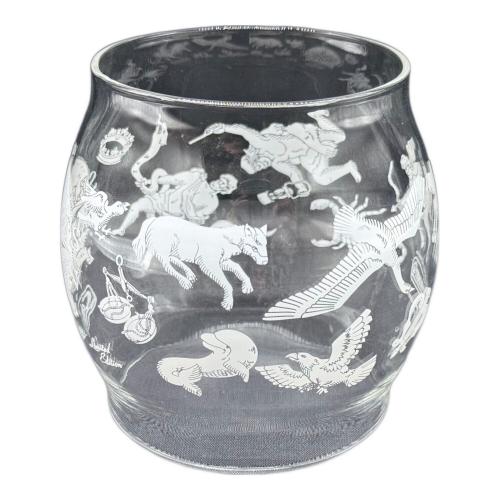 Coleman (コールマン) ランタンアクセサリー シーズンズランタン2013「Galaxy」グローブ