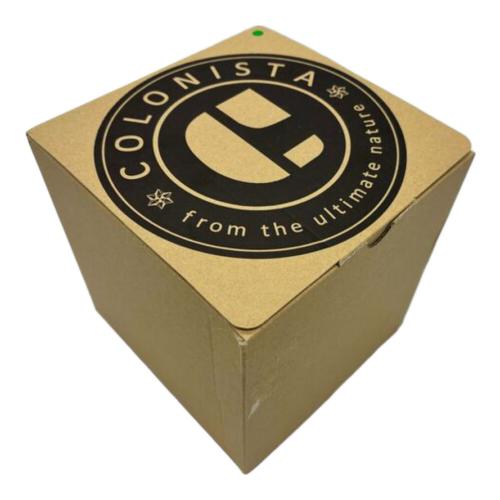 COLONISTA (コロニスタ) ランタンアクセサリー ダークグリーン CONPE10