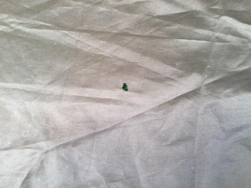 OGAWA (オガワ) ツールームテント 2761 シートヨゴレ・フライシート、スカート小穴有 ティエラリンド