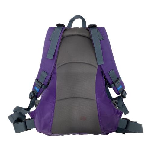 Karrimor (カリマー) バックパック パープル spike20