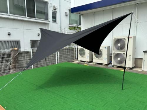 Telo (テーロ) ウィングタープ ブラック looks