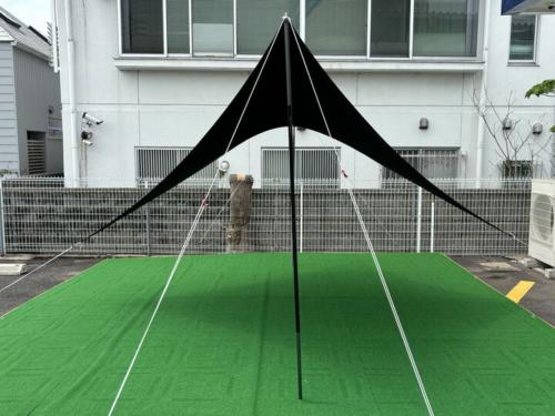 Telo (テーロ) ウィングタープ ブラック looks