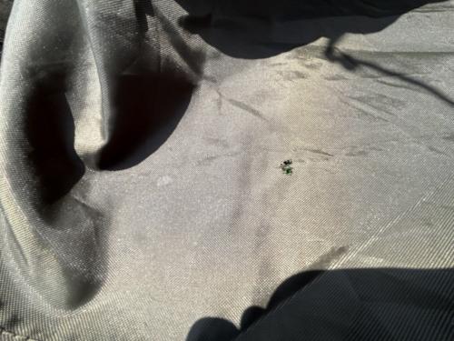 OGAWA (オガワ) ツールームテント  ティエラワイドⅡ