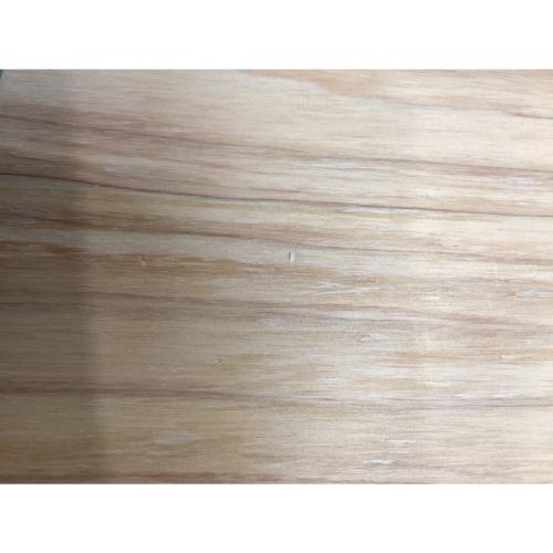 Snow peak (スノーピーク) 収納ケース cridas ガレージ シェルコン25