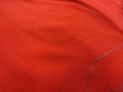 OSPREY (オスプレー) バックパック レッド TALON PRO 30 背面長【可変タイプ】 21-30L(日帰り)