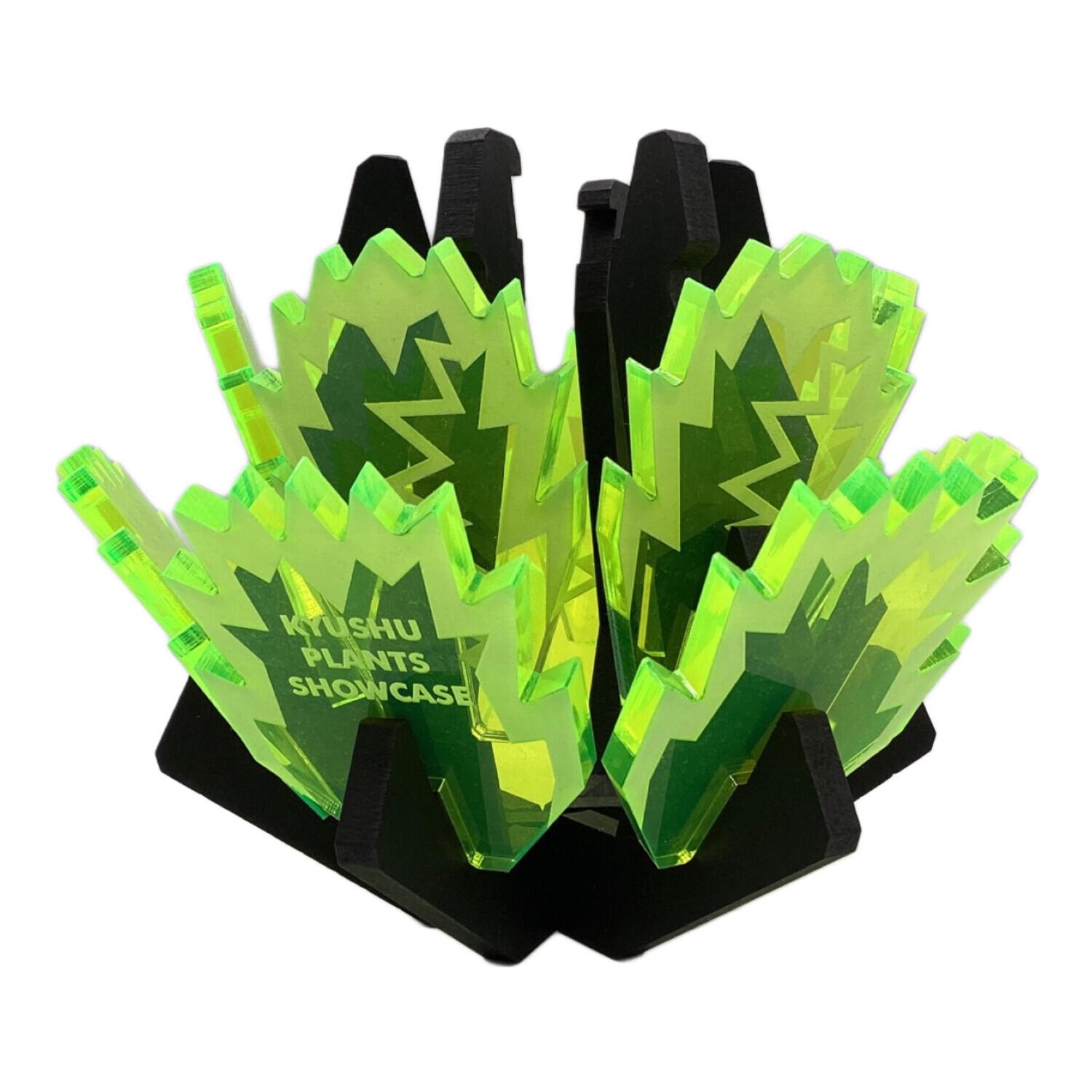 白鯨灯火 限定アイテム 牛乳植物× KYUSHU PLANTS SHOWCASE 白鯨灯火 | 牛乳植物研究所