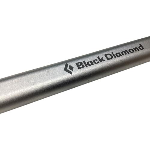 BLACK DIAMOND (ブラックダイヤモンド) ピッケル 55cm シルバー 旧モデル RAVEN PRO