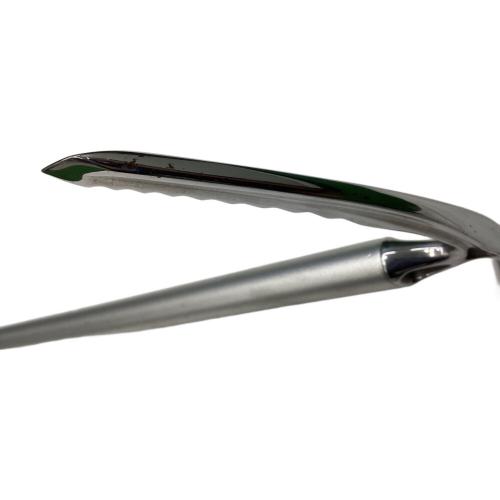 BLACK DIAMOND (ブラックダイヤモンド) ピッケル 55cm シルバー 旧モデル RAVEN PRO