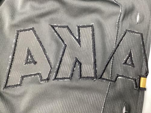 阪神タイガース (ハンシンタイガース) 応援グッズ SIZE O ブラック