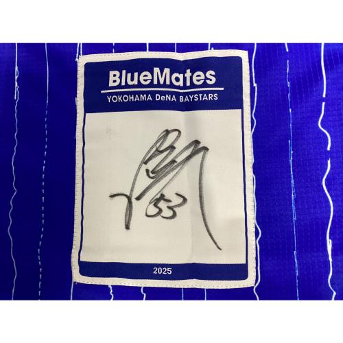 横浜DeNAベイスターズ (ヨコハマディーエヌエーベイスターズ) BlueMates 応援グッズ 颯【53】ファンクラブ限定抽選 @ SIZE L ブルー