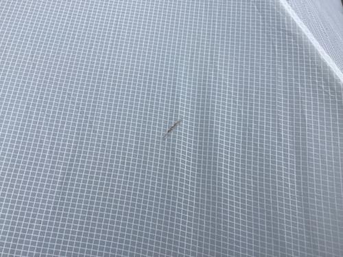 mont-bell (モンベル) 登山用テント 1122649 ステラリッジテント2