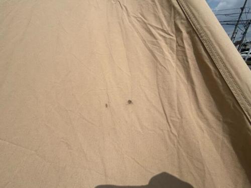 ROBENS (ローベンス) モノポールテント クロンダイク グランデ