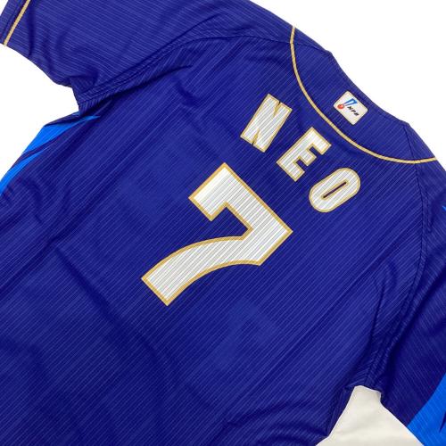 中日ドラゴンズ (チュウニチドラゴンズ) 昇竜2019 応援グッズ ブルー