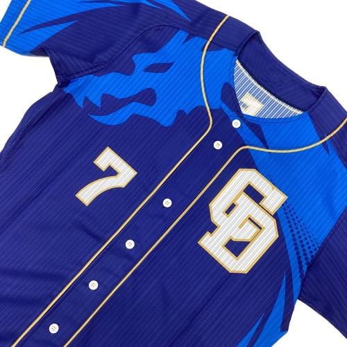 中日ドラゴンズ (チュウニチドラゴンズ) 昇竜2019 応援グッズ ブルー